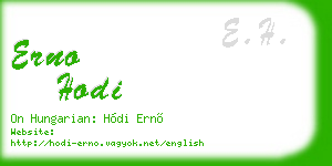 erno hodi business card