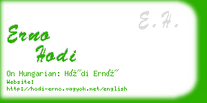 erno hodi business card